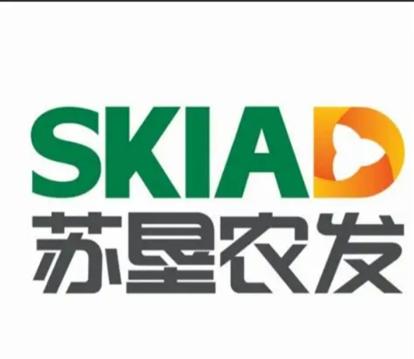 19.png
