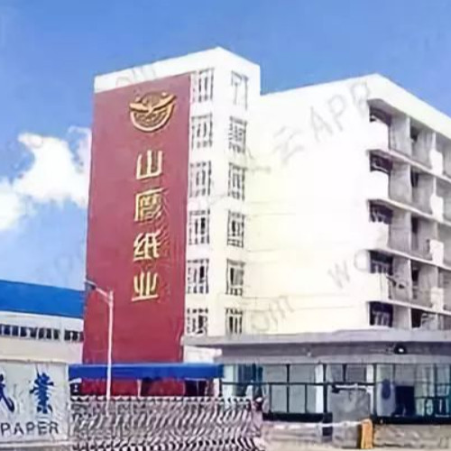 浙江山鹰纸业有限公司.jpg