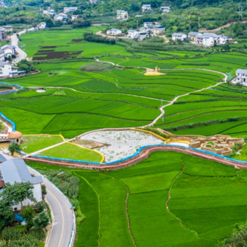 中农发种业集团股份有限公司.jpg